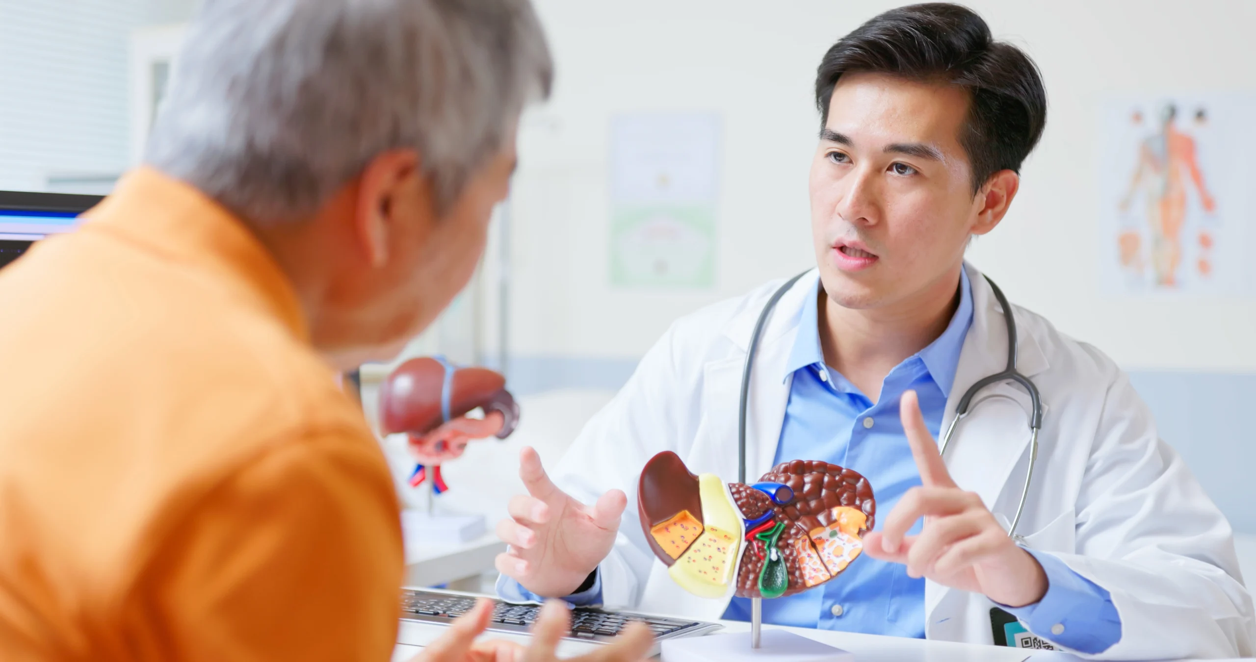 closeup back view asian doctor explaining liver disease to elderly patient using 3d anatomy model with ultrasound equipment in gastroenterology clinic with possible cirrhosis